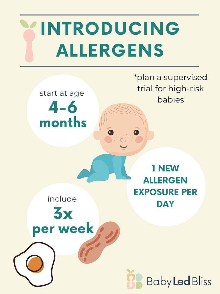 infographic about introducing allergens to babies.