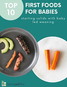 cover page of top 10 first foods for babies ebook.