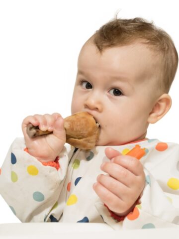 baby in a smock eating a chicken leg.