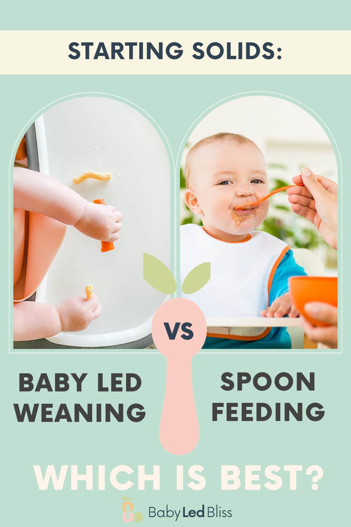 infographic with baby led waening baby hand on one side and spoon feeding baby on the other with text overlay.