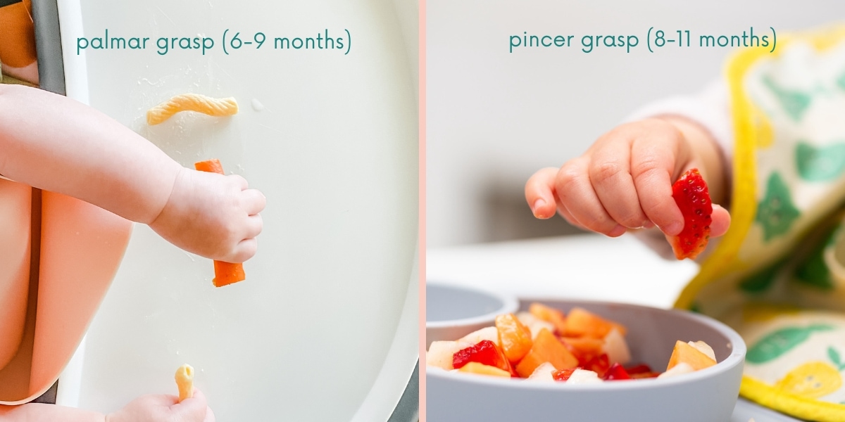 collage of a baby hand gripping a carrot with palmar grasp and a baby hand gripping a strawberry piece with a pincer grasp.