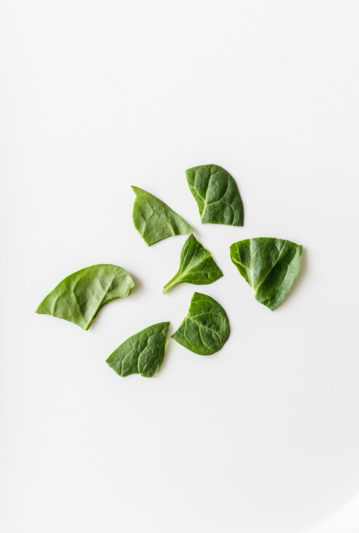 pieces of raw spinach leaves on a white background.