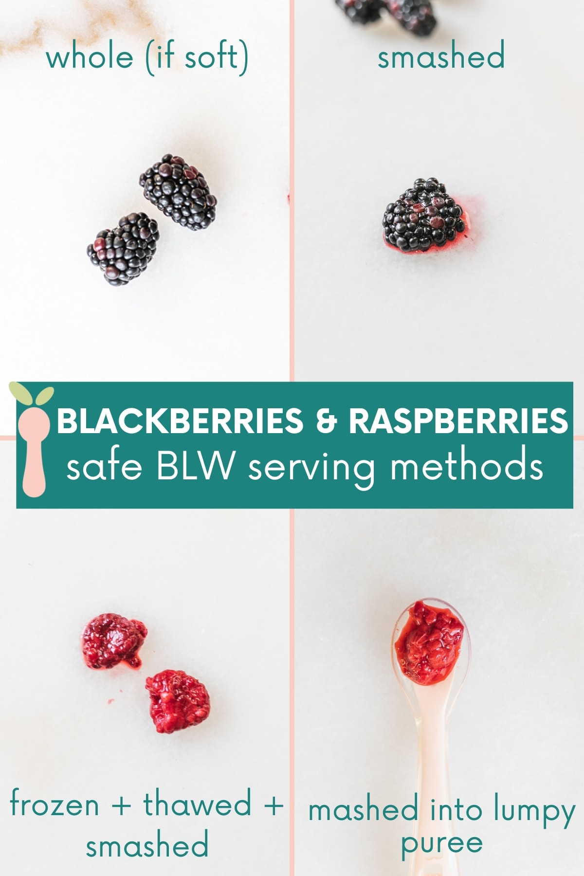 collage of four different ways to serve blackberries and raspberries for baby led weaning with text overlay.
