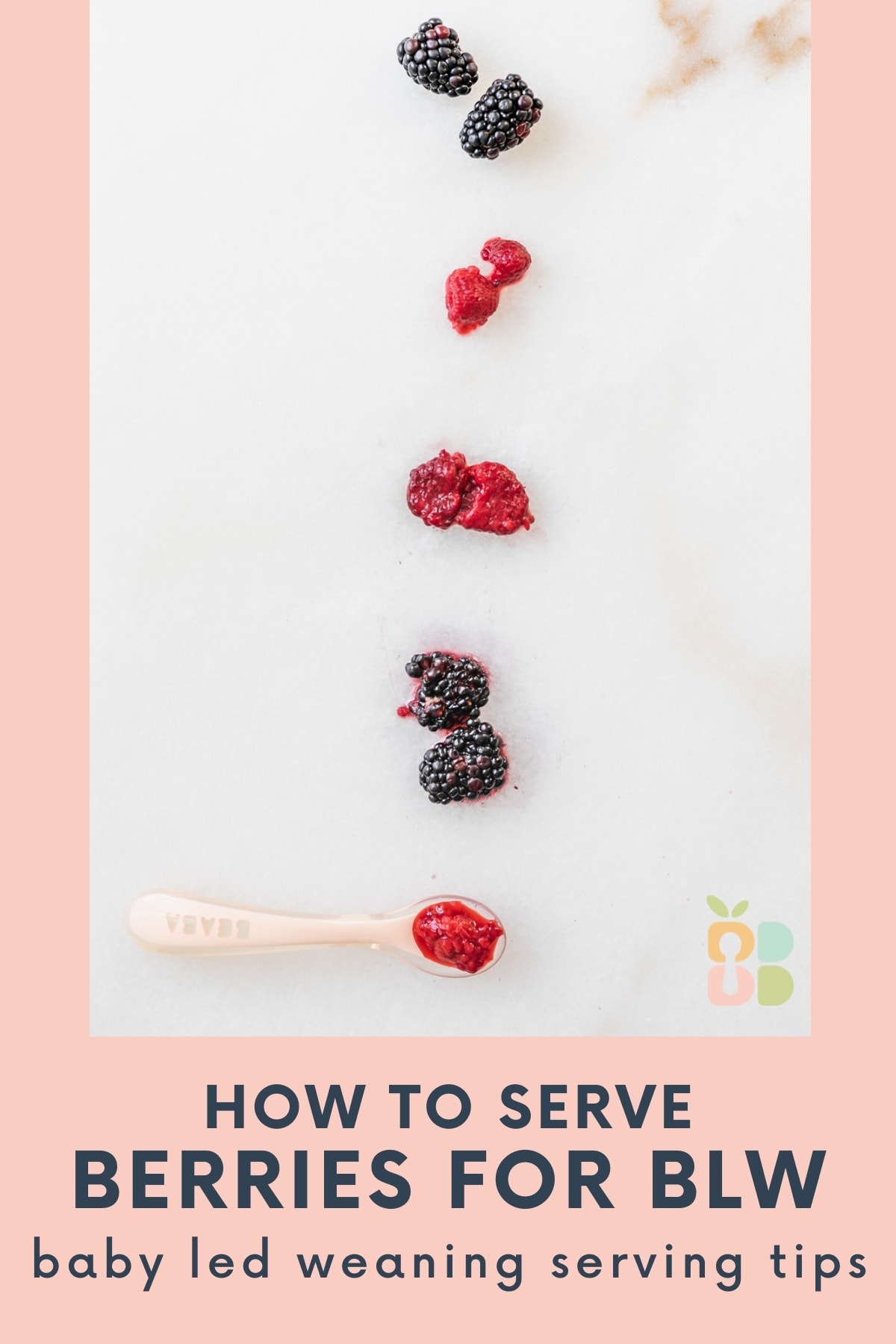 various forms of blackberries and raspberries lined up on a white marble background with text overlay.