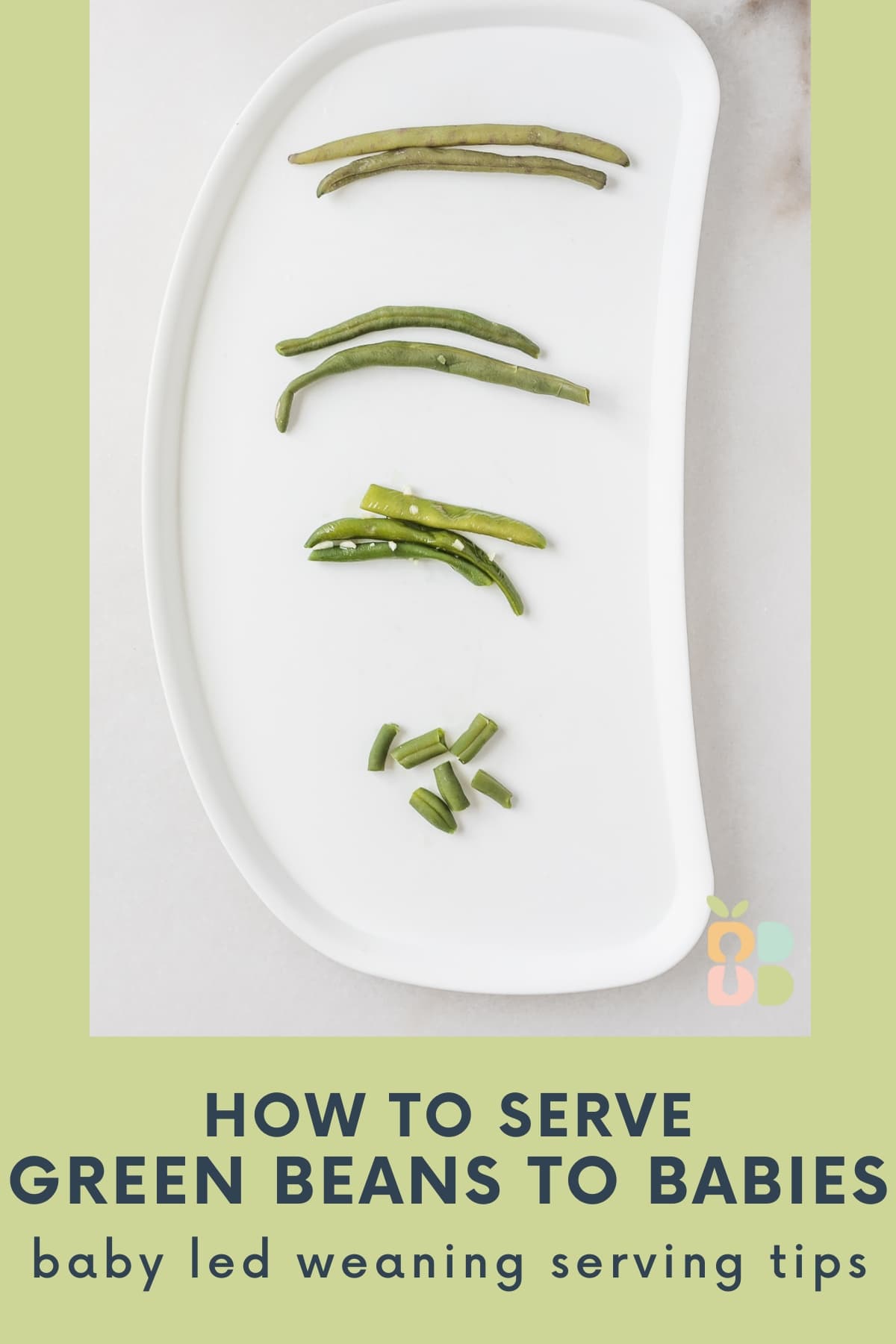 overhead view of green beans prepared various ways on a baby tray with text overlay.