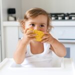 baby in a high chair eating corn from a cob.