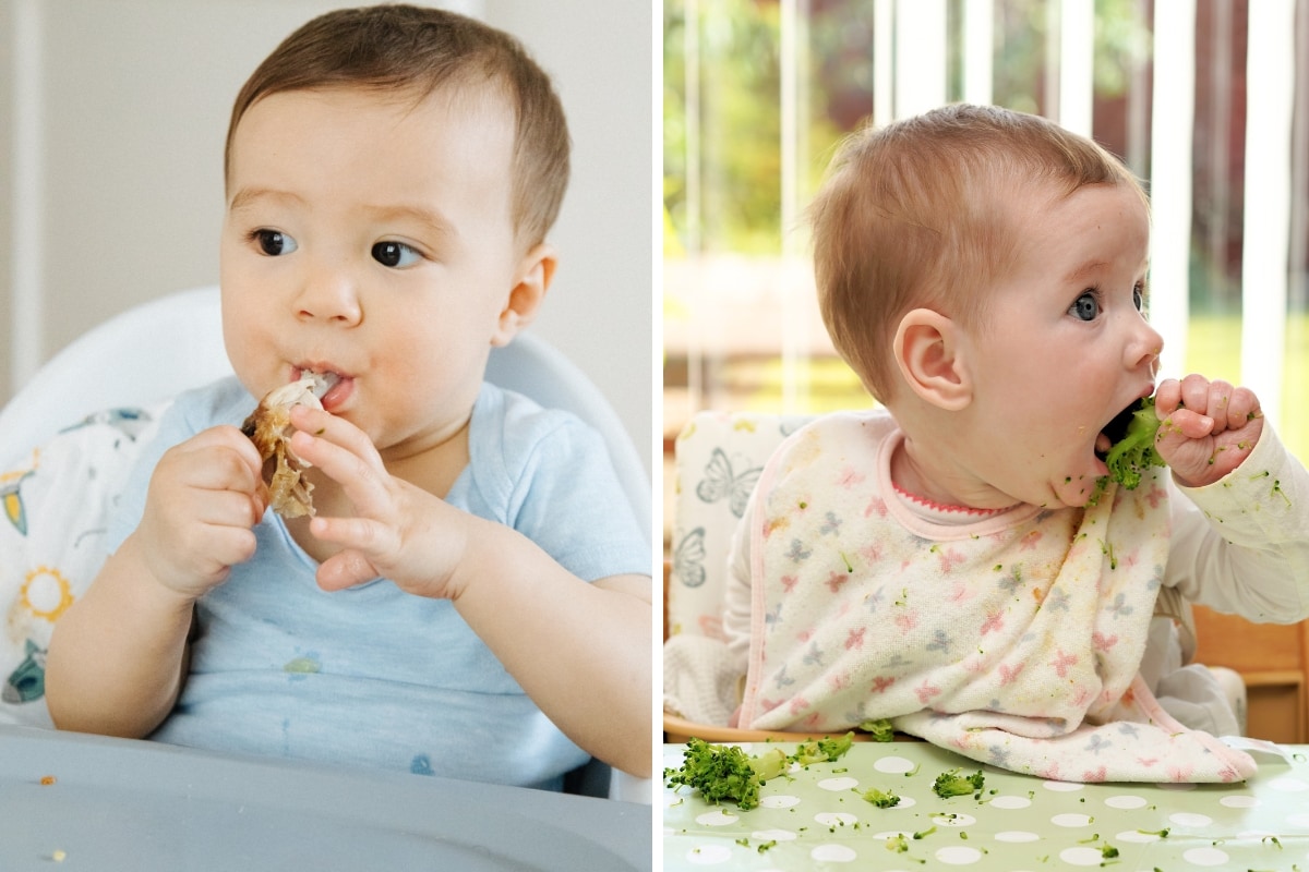 collage of tow babies using palmar grasp to eat chicken leg and broccoli. 