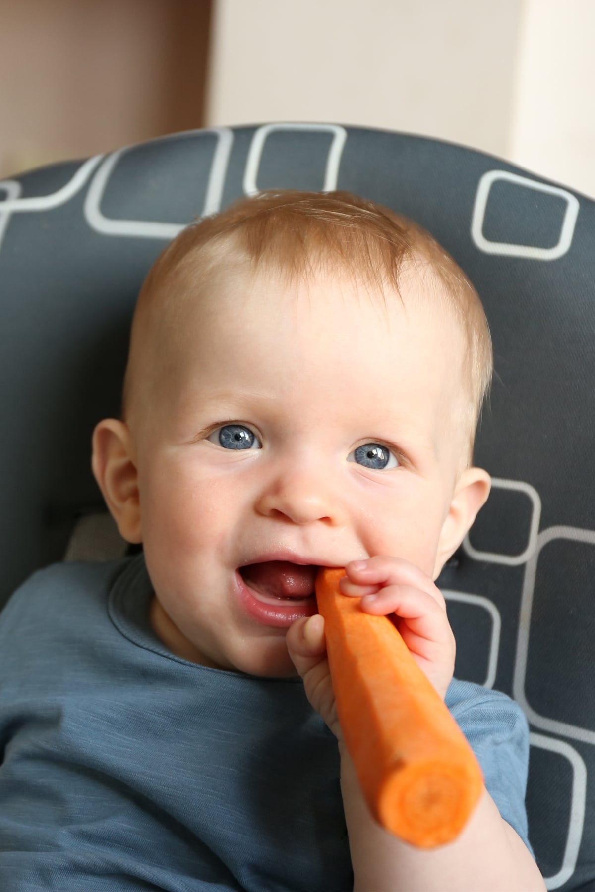 baby in a high chair gnawing on large raw carrot.