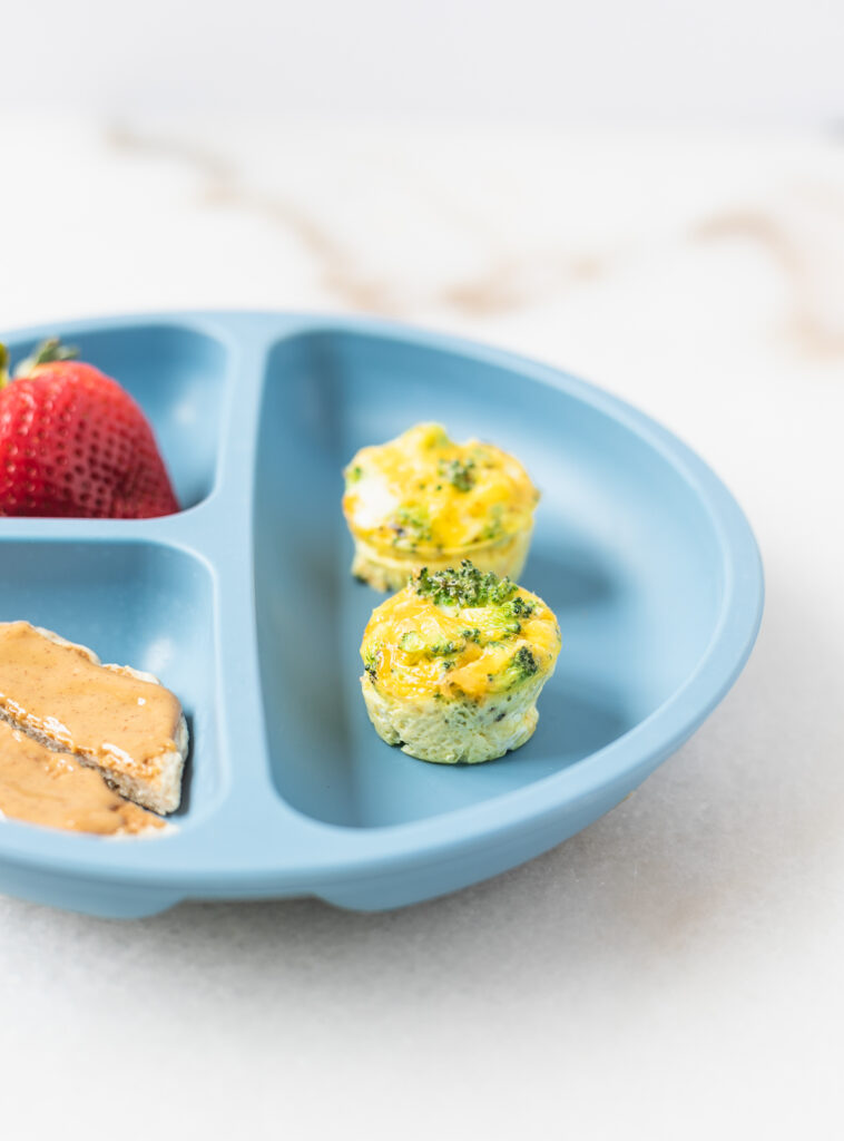 Broccoli Cheddar Egg Bites for Babies and Toddlers Baby Led Bliss