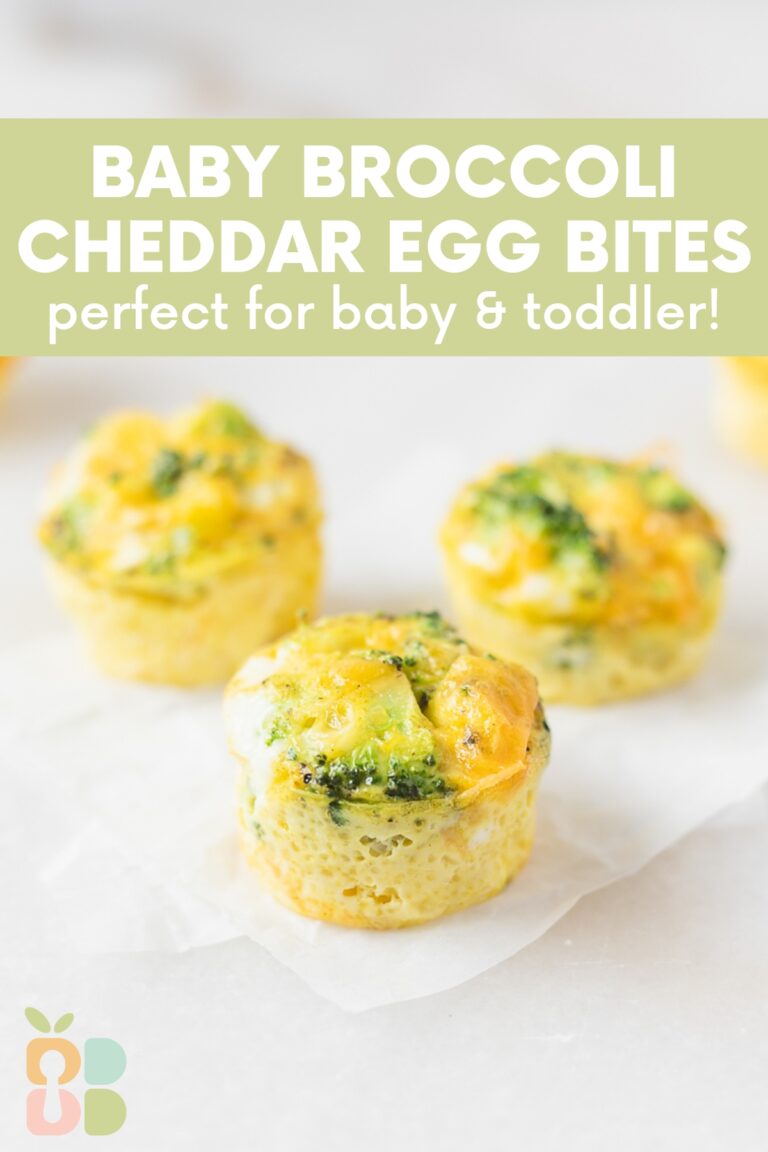 Broccoli Cheddar Egg Bites for Babies and Toddlers Baby Led Bliss