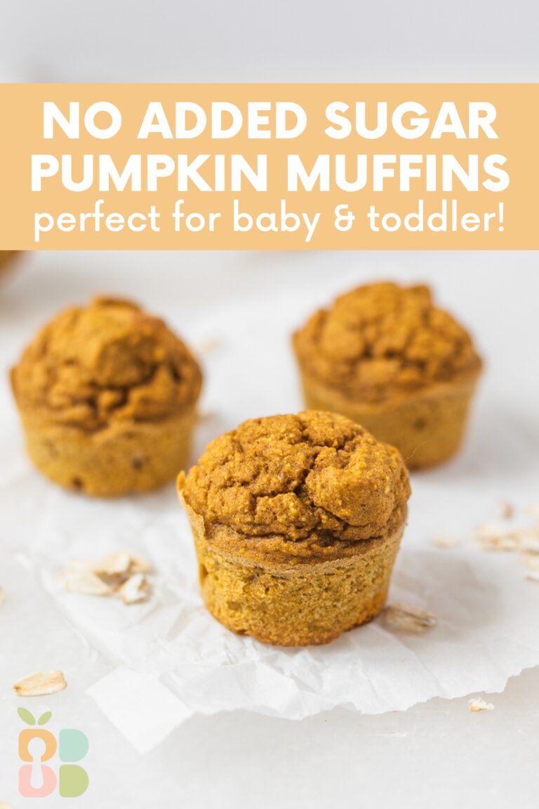Baby Led Weaning Pumpkin Muffins (No Added Sugar) Baby Led Bliss
