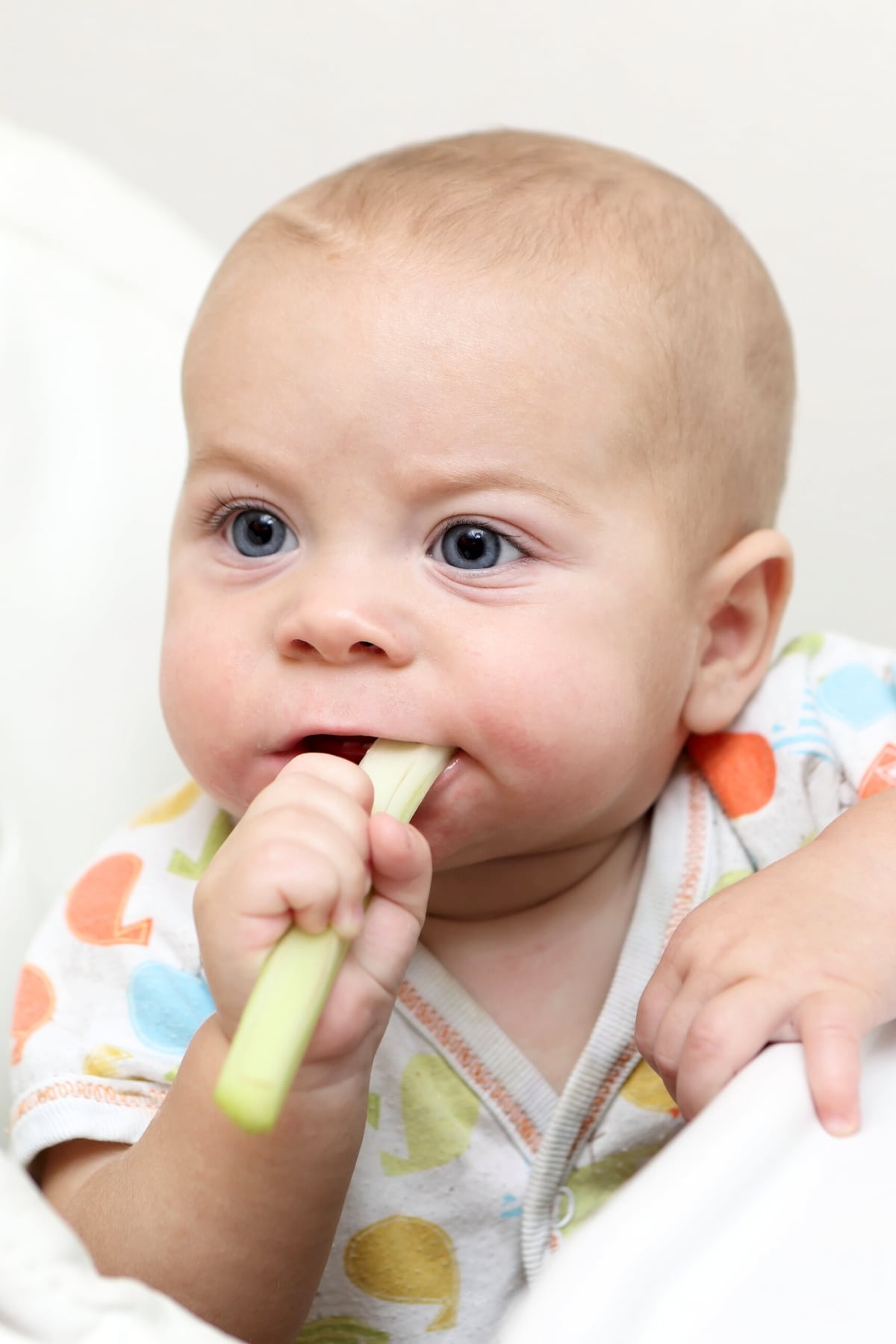 baby in high chair teething on a stalk of celery.